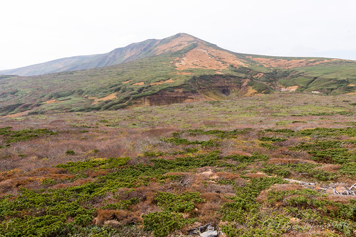 mountain japan landscape 日本 miyagi 風景 2015 登山 宮城県 栗原市 東北地方 栗駒山 nikond610