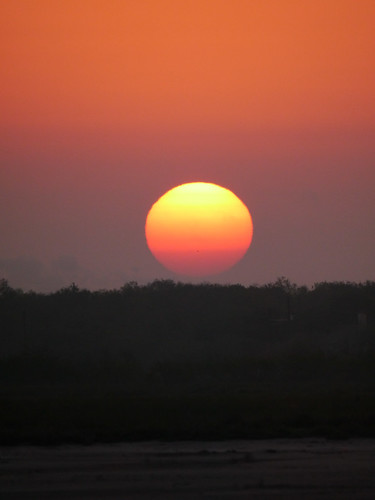 texas landscape mikaelbehrens cbc