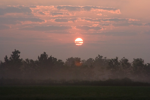 beaumont clouds fog lenstagged sky sun sunrise tamron24135f35 texas tree trees tx