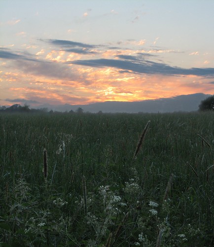 sunset midsummer meadow pasture