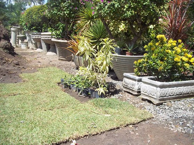 Belas Plantas Chácara Beira Rio
