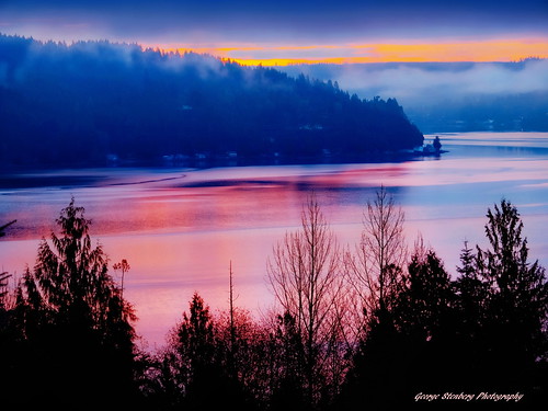washingtonstate pacificnorthwest hoodcanal sunrise dawn trees water reflections fog
