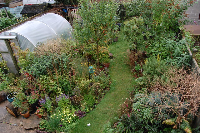 A view of the garden from an upstairs window