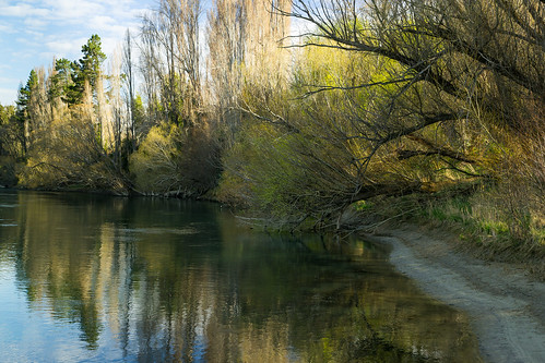 blue newzealand reflection water river landscape still poplar calm willow nz southisland dumbarton cluthariver sonya99 nearroxburgh