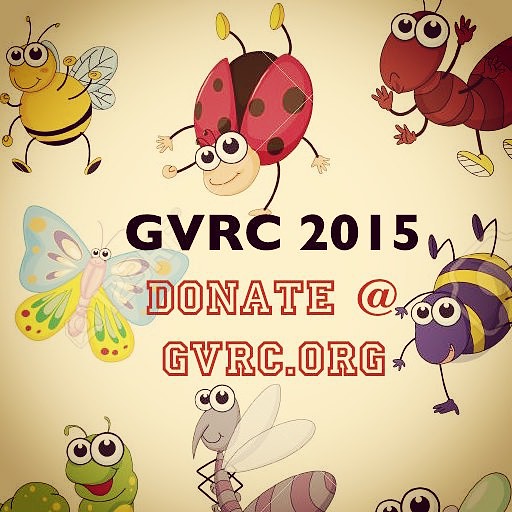 GVRC 2015