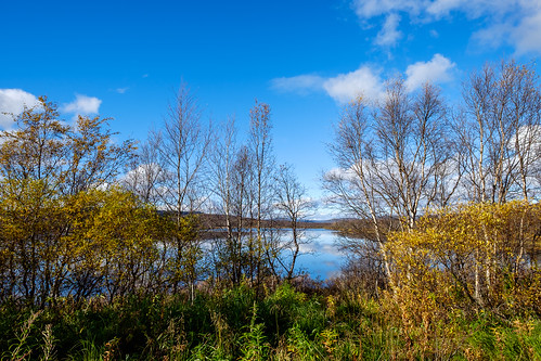 autumn suomi finland river landscape outdoor sunny lapland fi scandinavia lappi biketouring sápmi xf14mmf28r xf14mm fujinonxf14mmf28r fujifilmxt10