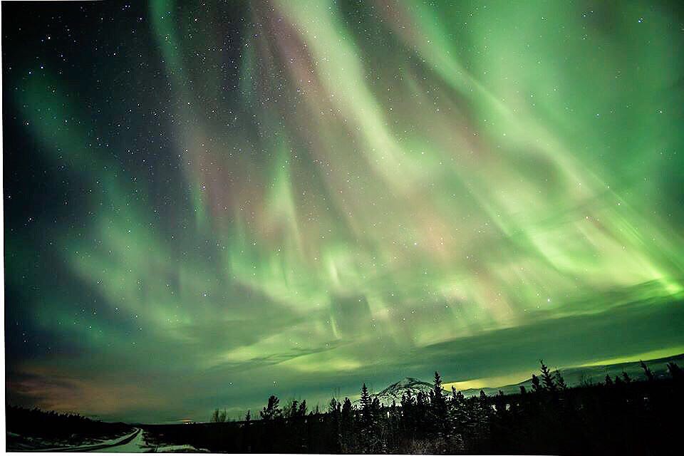 Magnificence in the skies in Yukon last night! #ig_great_shots_canada #instagood #aurora #auroraborealis #canada #canada_creatives #christyturnerphotography #northernlights #yukon #instanight #beautiful