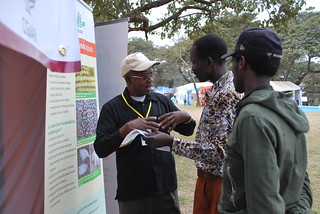 Festo Ngulu (left), Africa RISING research coordinator for Babati District, explains the projects' interventions on aflatoxin mitigation to farmers visiting the project exhibition stand during the nane nane agricultural fair in Arusha, Tanzania