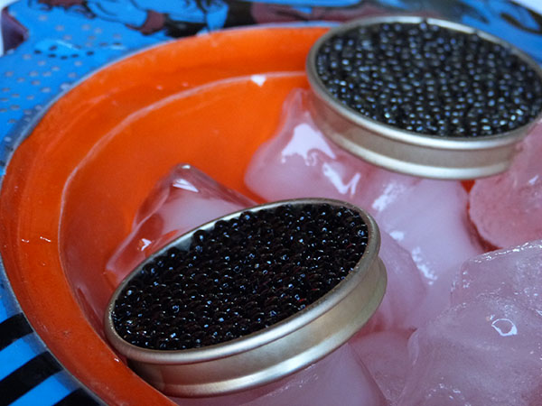 caviar 4 mois 3