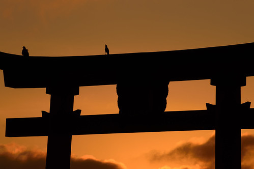 高島市 滋賀県 japan lake 琵琶湖 湖 神社 shrine 白髭神社 日の出 sunrise