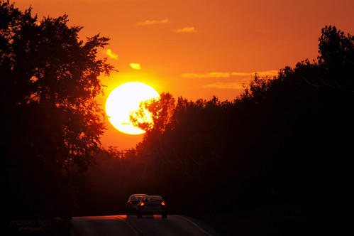road trees sunset summer sun silhouette golden evening tones thegalaxy