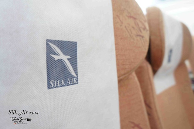 Silk Air 08