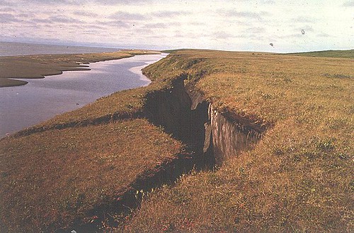 Cape Krusenstern National Monument