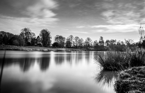 robin swan sunrise kenilworth castle countryside long exposure landscape lake pond bw bird motion blur