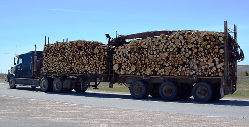 newfoundland avalonpeninsula trepassey logs truck haulinglogs