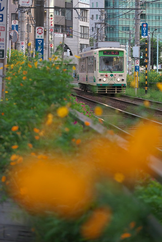 Tokyo Train Story 都電荒川線 2015年9月23日