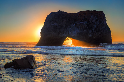 ocean california sunset seascape seagull portal westport sunbeam mendocinocoast mendocinocounty westportbeach pixelmama boosbeach