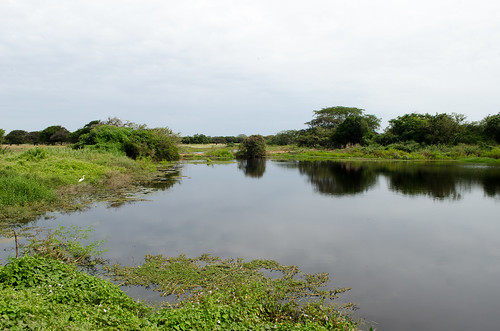 landscapepanama landscape lagoon river tropicalriver nature panamanature lossantospanamá lossantospanama