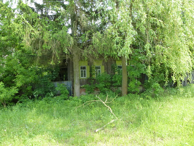 Forest and house