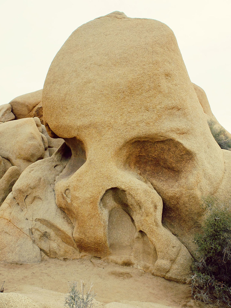 Skull Rock dans le parc national de Joshua Tree