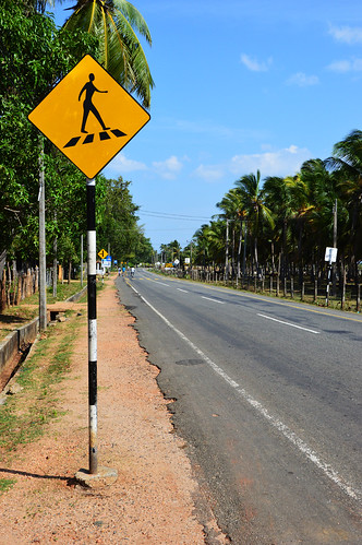 road nature sign traffic sri tuktuk srilanka ceylon trincomalee trinco знак шриланка шри туктук дорожный nilavelli цейлон тринкомали нилавели