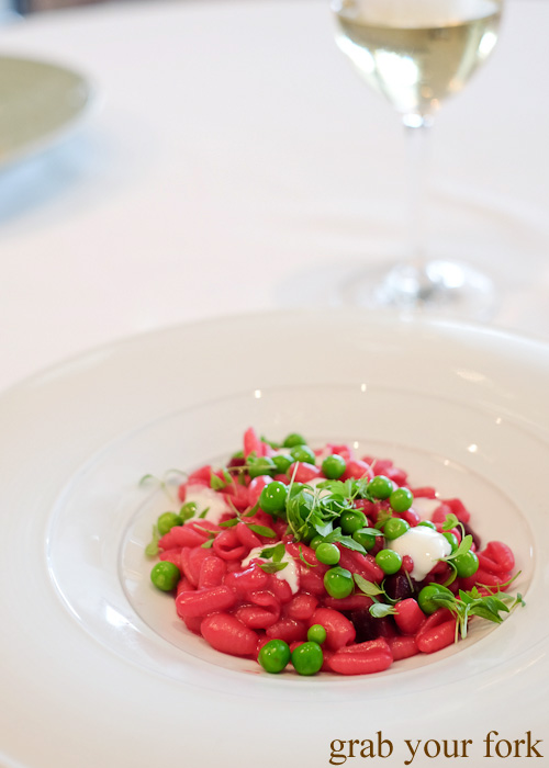 Malloreddus with beetroot, taleggio and fresh peas by Pilu at Freshwater, Sydney