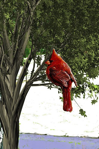 trees winter snow art home birds graphicart photoshop cardinal wildlife alabama scenic