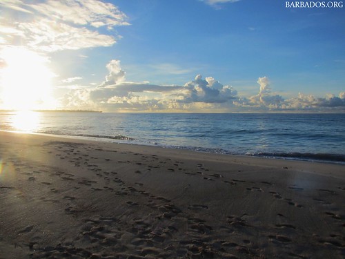 barbados sunrise caribbean beach tropical island