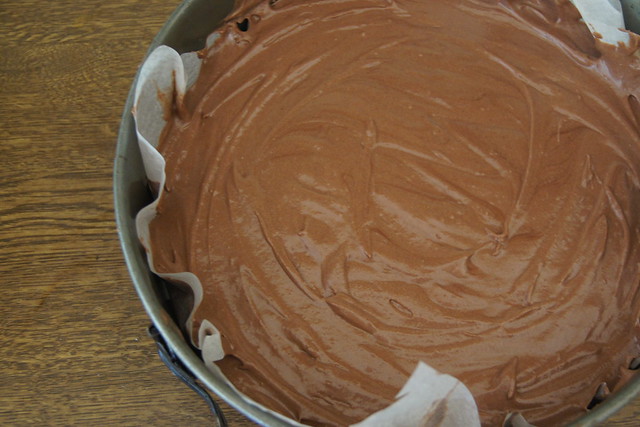 Rice malt syrup chocolate cake recipe DSC05747