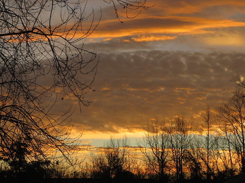 lumberton nc northcarolina robesoncounty sunrise tree trees silhouette morning goodmorning morningsky orange blue sky clouds nature photooftheday photo365 pictureoftheday