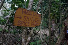 Zanzibar Spice