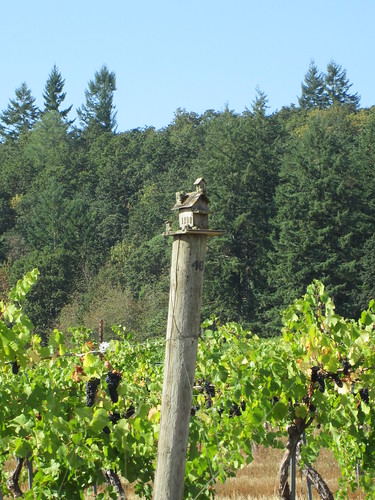 Little house on a vineyard post