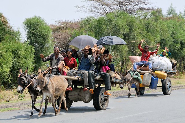 Африканские народы. Халаба - эфиопские цыгане едут на ярмарку. февраль 2014