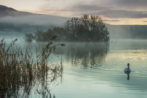 park morning mist mountain lake water grass wales sunrise canon reflections reeds eos early is swan hills national 7d ripples usm brecon beacons llangorse f4l ef24105mm