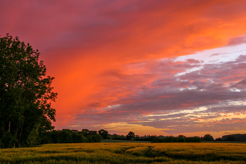 summer germany dawn countryside sundown balticsea 2015 tumblr:user=touristathome