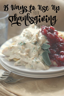 25 Ways to Use Up your Thanksgiving Leftovers