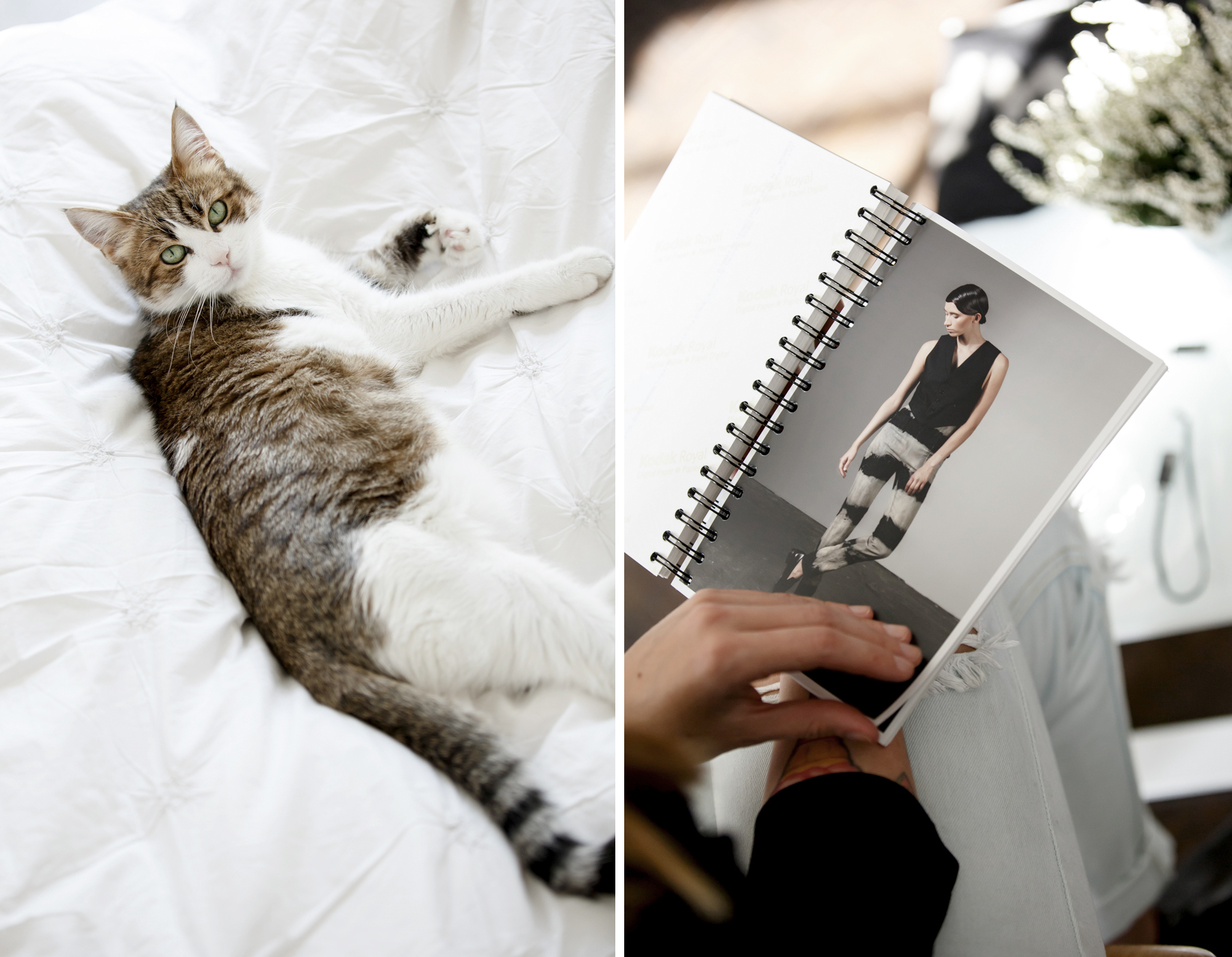 esther perbandt showroom paris ss16 ricarda schernus cats & dogs fashion blog modeblogger 7