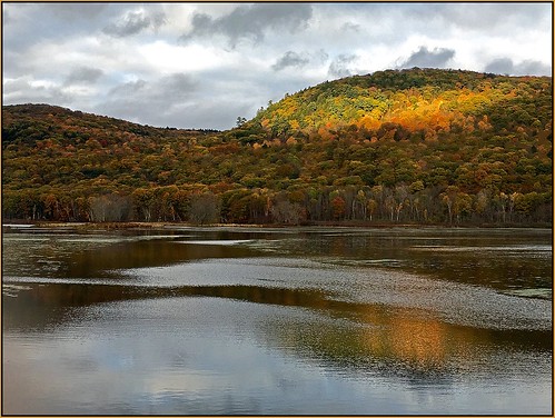 autumn mountain reflection gold golden pond october foliage lee octobermountain woodspond