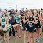 SC XC State Finals 11-7-201500143