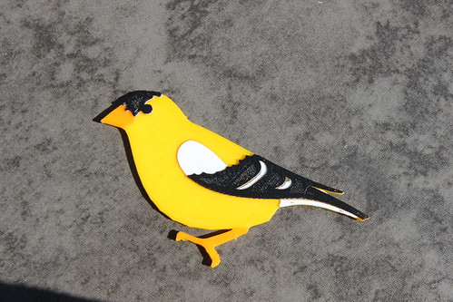 3D Printing - American Goldfinch