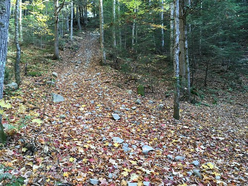 leaves trail coacfalls