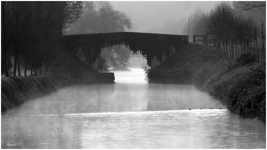 Brouillard sur le canal + ajout NB 23108918759_e92159007c_b
