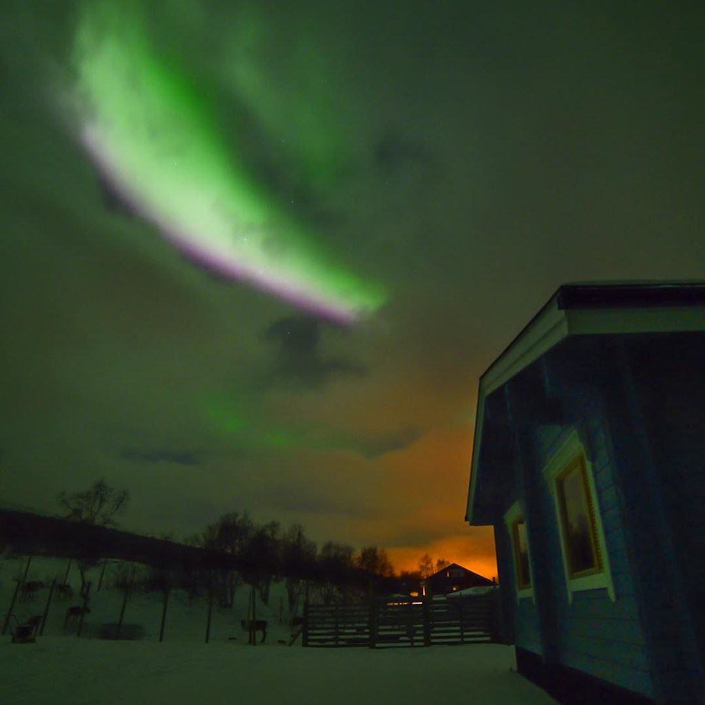 The dramatic show over @auroraholidays's cottage last night. It was so fast, we could almost hear it's sound (if I wasn't screaming so much). The sky was a bit cloudy but it was the most dramatic show I've ever seen. It was purple!!!