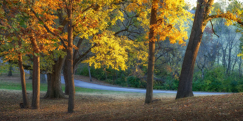 autumn light sunlight fall illinois nikon fallcolors southpark quincyil quincyillinois nikond800e