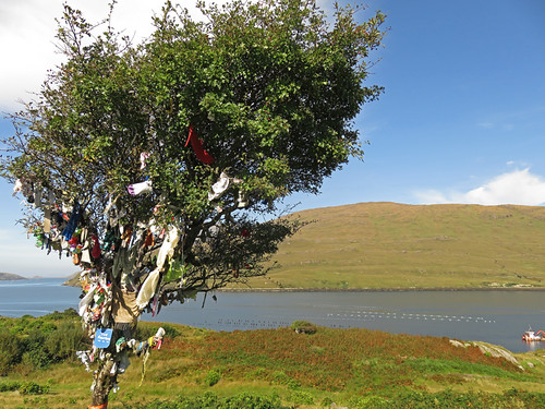 We found a 'Fairy Tree' on Killary Harbour Drive in Ireland