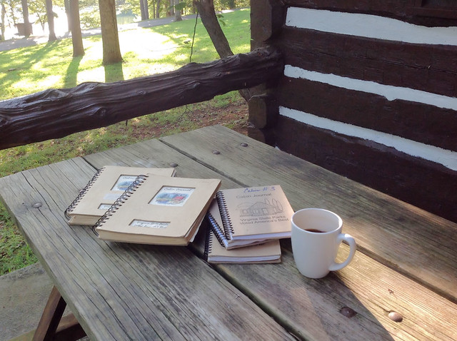 Cabin 3 at Fairy Stone State Park in Virginia allowed me the opportunity to review the journals from the past decade