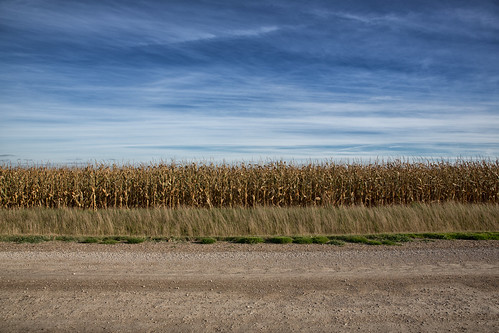 road ca ontario canada fall grass lines clouds corn cornfield parallel gravel elora cirrus centrewellington markheine