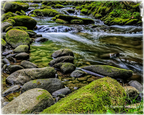 nature water river flow outdoors rocks unitedstates tennessee scenic townsend augphotoimagery