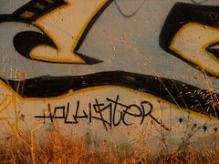 art/graffiti on disused box culvert, former Nash Road bridge over San Benito River, Hollister, June 23, 2006