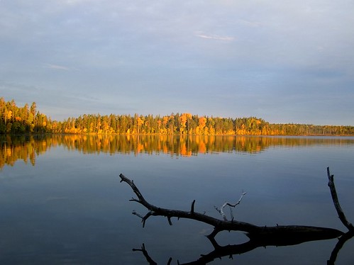 trees water reflections landscapes russia lakes sunsets sunrises sunscapes vodlosersky expaditions